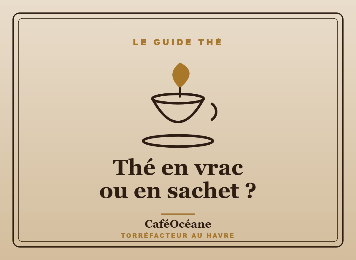 Thé en vrac ou en sachet — guide Dammann CaféOcéane