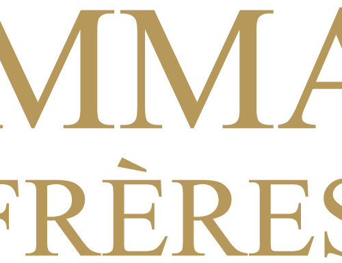Calendrier de l'Avent Dammann Frères 2026